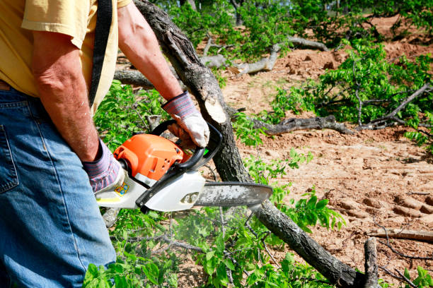 Best Aeration Services  in Hampton, VA